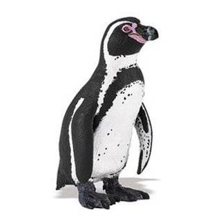  Wild Safari Sealife: South African Penguin: Toys & Games