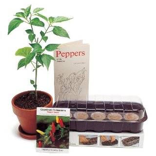   Pepper 4 Plants   MAKE YOUR OWN SAUCE   Hot Patio, Lawn & Garden