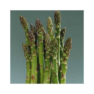 Davids Hybrid Asparagus Jersey Giant 25 Seeds per Packet
