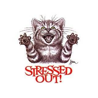  Cat~stressed Out Adult T Shirt Clothing