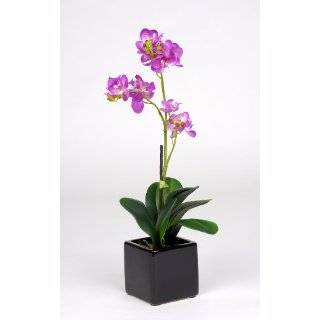 Artificial 17 Mini Phalaenopsis Orchid, Lavender