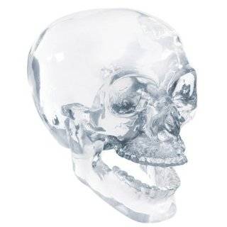 Crystal Skull   Collectible Figurine Statue Sculpture Figure Skeleton