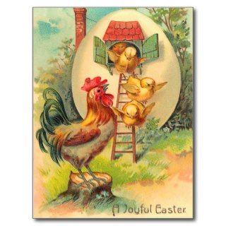 Vintage Easter Chick Postcard