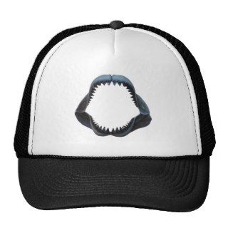 Megalodon shark 2 hats
