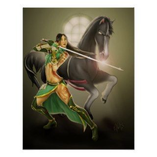 Dynasty Warrior Poster