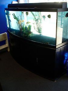 10 gallon fish tank walmart