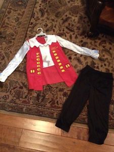 The Wiggles Deluxe Captain Feathersword Costume Size 3 4 T Toddler New on  PopScreen