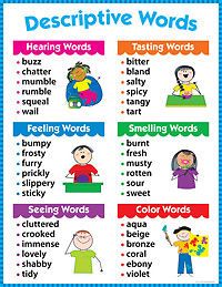 Descriptive Words Writing Educational Poster Chart CTP New